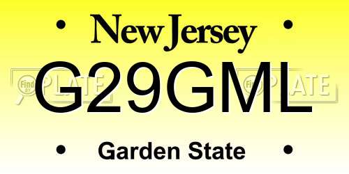 G29GML New Jersey License Plate