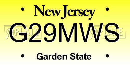 G29MWS New Jersey License Plate