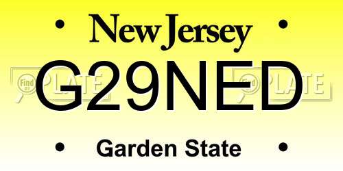 G29NED New Jersey License Plate
