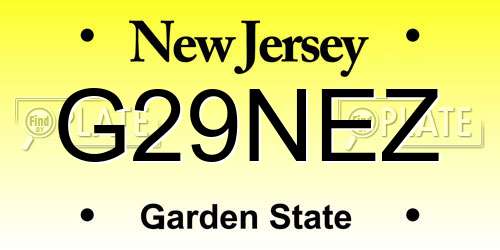 G29NEZ New Jersey License Plate