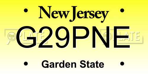 G29PNE New Jersey License Plate
