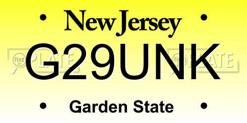 G29UNK New Jersey License Plate