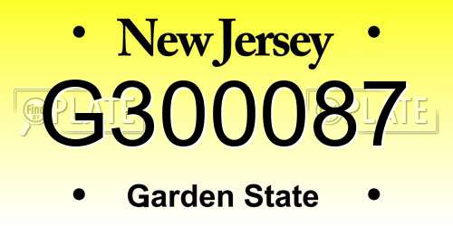 G300087 New Jersey License Plate