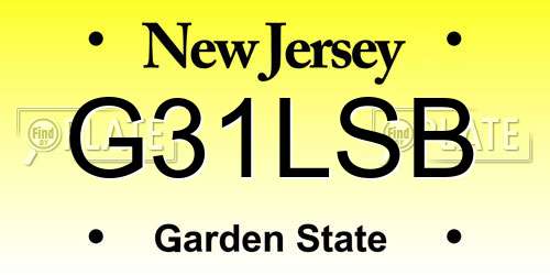 G31LSB New Jersey License Plate