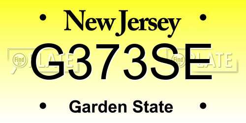 G373SE New Jersey License Plate