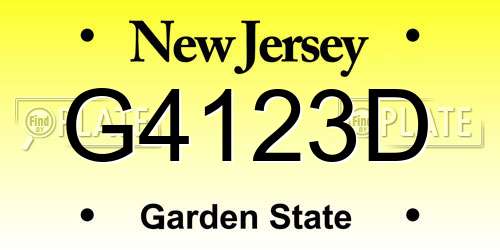 G4123D New Jersey License Plate