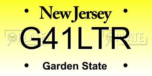 G41LTR New Jersey License Plate