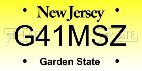 G41MSZ New Jersey License Plate