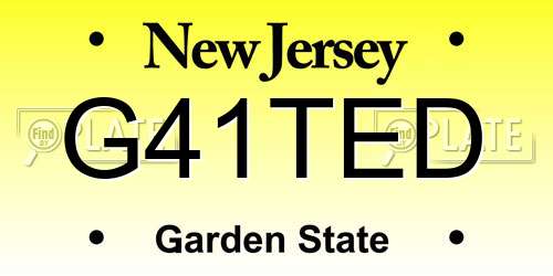 G41TED New Jersey License Plate