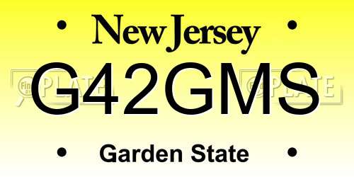 G42GMS New Jersey License Plate
