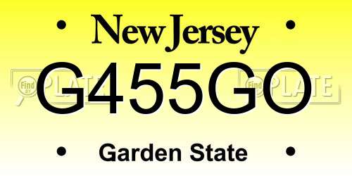 G455GO New Jersey License Plate