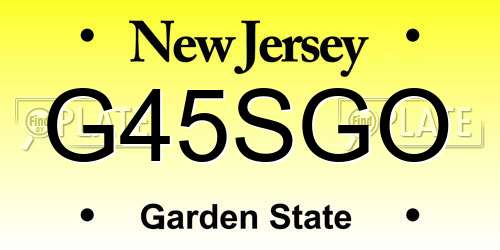 G45SGO New Jersey License Plate