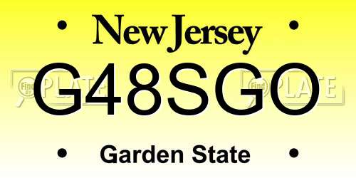 G48SGO New Jersey License Plate