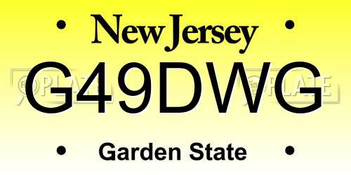 G49DWG New Jersey License Plate