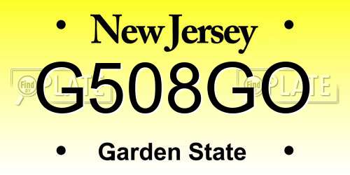G508GO New Jersey License Plate