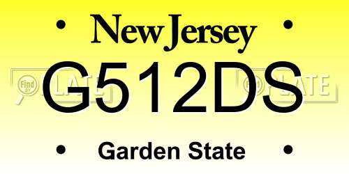 G512DS New Jersey License Plate