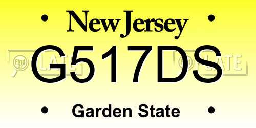 G517DS New Jersey License Plate