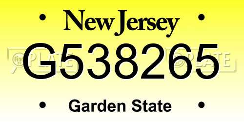 G538265 New Jersey License Plate