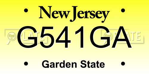 G541GA New Jersey License Plate