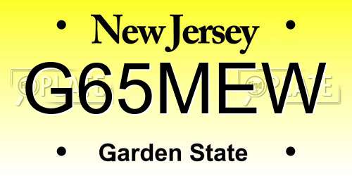 G65MEW New Jersey License Plate