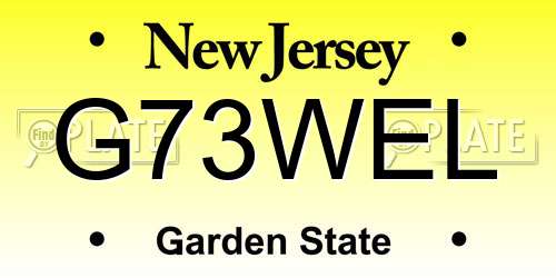 G73WEL New Jersey License Plate