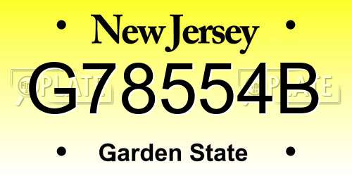 G78554B New Jersey License Plate