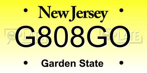 G808GO New Jersey License Plate