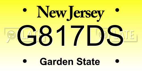G817DS New Jersey License Plate