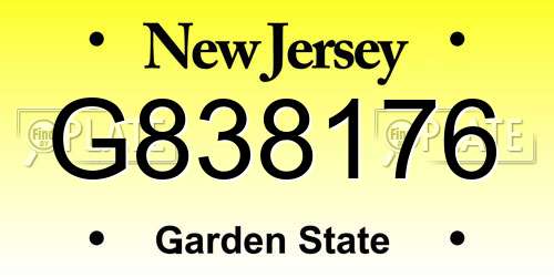 G838176 New Jersey License Plate
