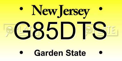 G85DTS New Jersey License Plate