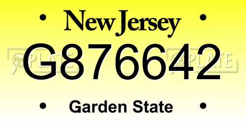 G876642 New Jersey License Plate
