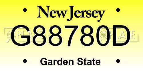 G88780D New Jersey License Plate