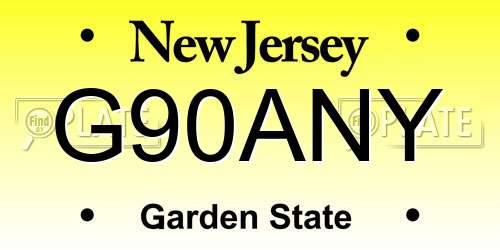 G90ANY New Jersey License Plate