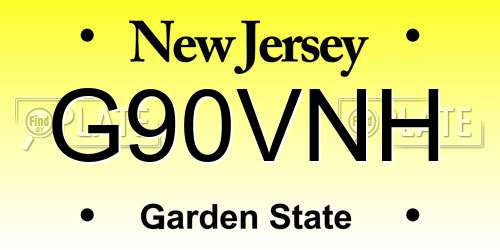 G90VNH New Jersey License Plate