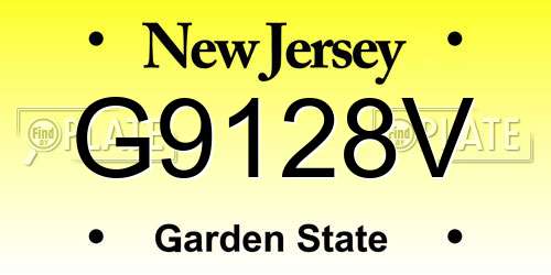 G9128V New Jersey License Plate