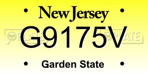 G9175V New Jersey License Plate