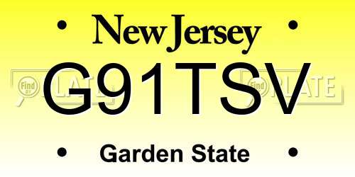 G91TSV New Jersey License Plate
