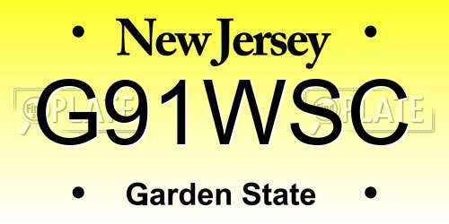 G91WSC New Jersey License Plate