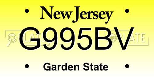 G995BV New Jersey License Plate