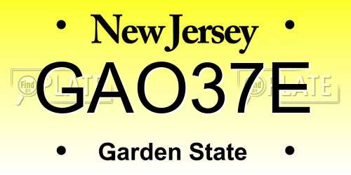 GAO37E New Jersey License Plate