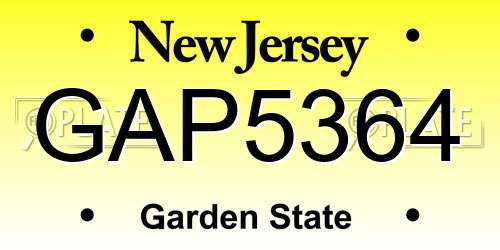 GAP5364 New Jersey License Plate