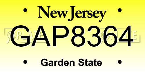 GAP8364 New Jersey License Plate