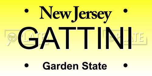 GATTINI New Jersey License Plate