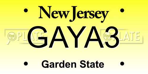 GAYA3 New Jersey License Plate