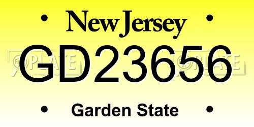 GD23656 New Jersey License Plate
