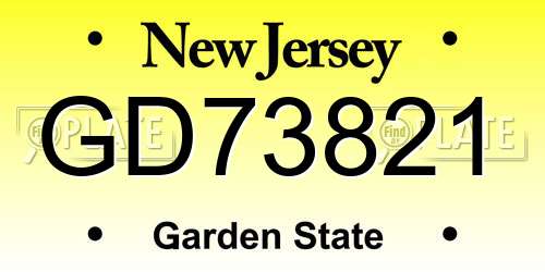 GD73821 New Jersey License Plate