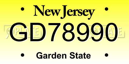 GD78990 New Jersey License Plate