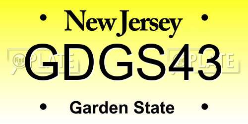 GDGS43 New Jersey License Plate