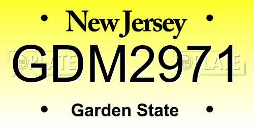 GDM2971 New Jersey License Plate