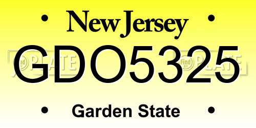 GDO5325 New Jersey License Plate